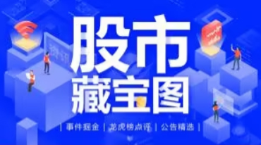 公司半年度报告：财务数据、股东情况及利润分配说明
