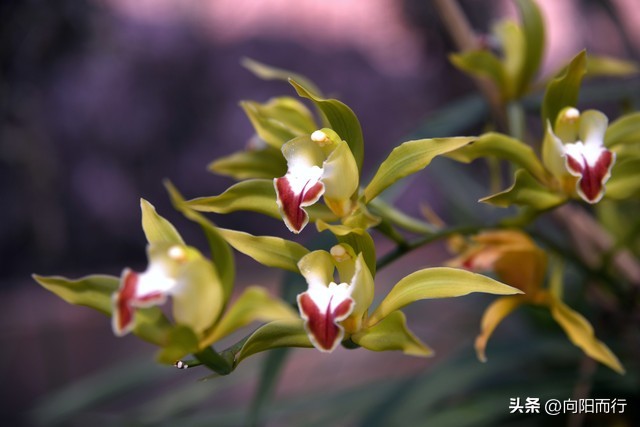 第一次领工资就该知道的理财常识_与财富结缘的习惯_精打细算敬畏金钱