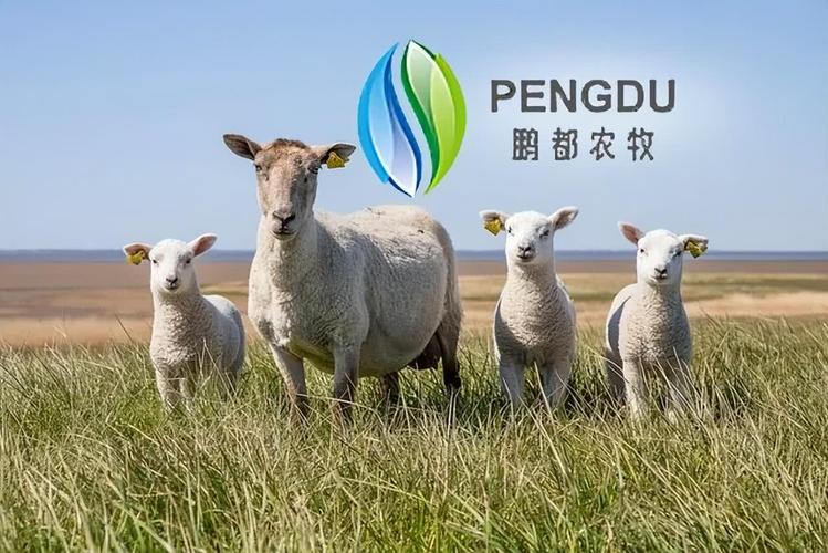 江苏农业企业挂牌资本市场_江苏股权交易中心农业板_农业板块成功挂牌是什么意思