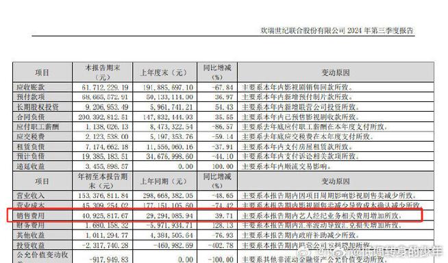 欢瑞世纪2024年财报分析_欢瑞世纪2025财报_欢瑞世纪2024年净利润亏损