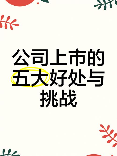 公司上市：带来吸引投资等机遇，也面临诸多挑战