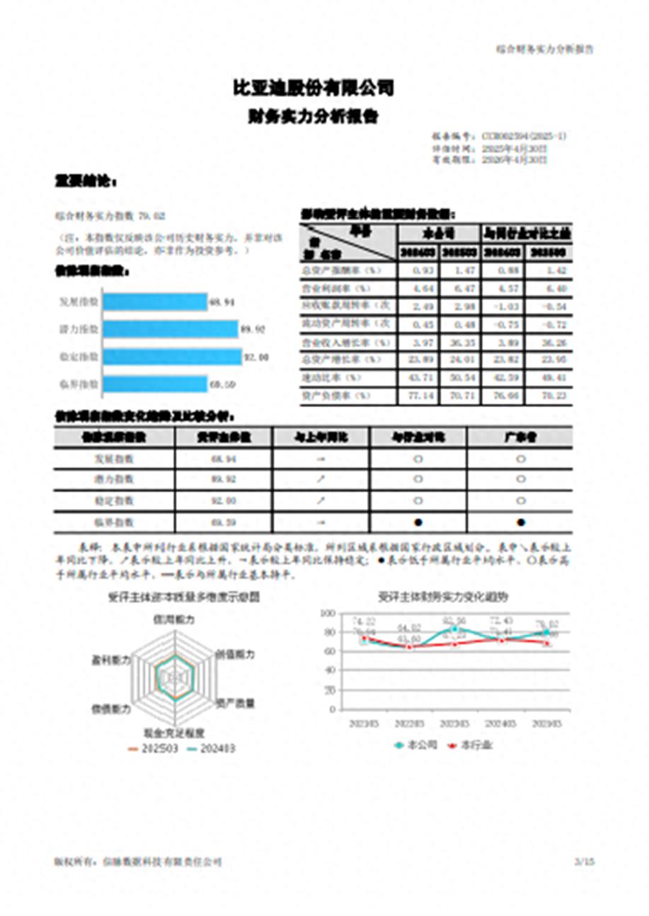 基于信脉数据的比亚迪2025年第一季度综合财务实力分析报告