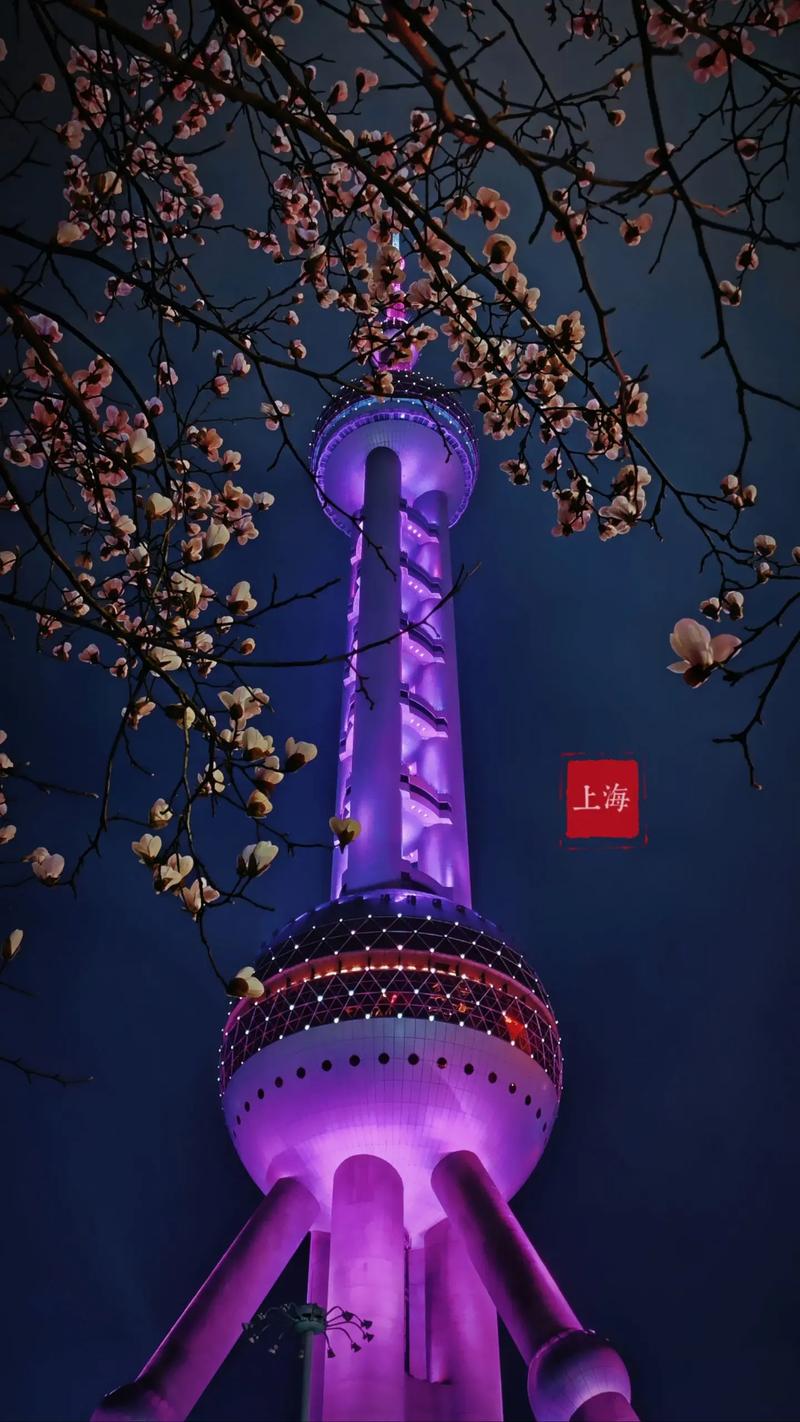 东方明珠vr过山车视频_东方明珠元宇宙沉浸体验_上海城市规划展示馆5D数字化城市沙盘