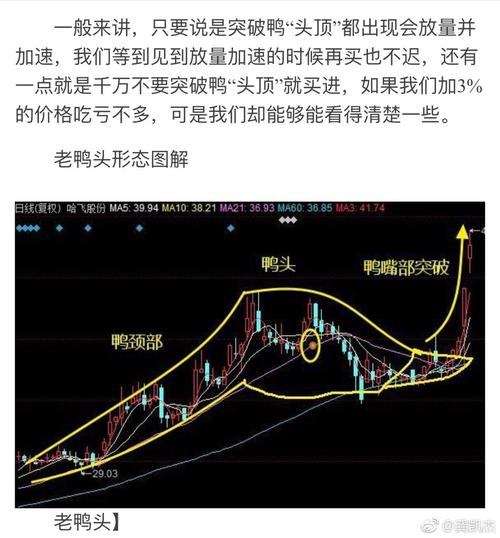小分子化学药研发服务_股票的老鸭头形态图解_股票老鸭头形态图解