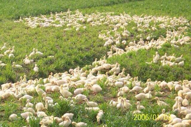 江苏股权交易中心农业板_农业板块成功挂牌是什么意思_扬州农业企业挂牌