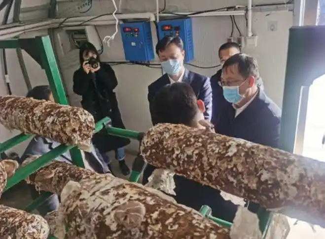 农业供应链金融_农业产业链金融服务_农业供应链金融发展现状