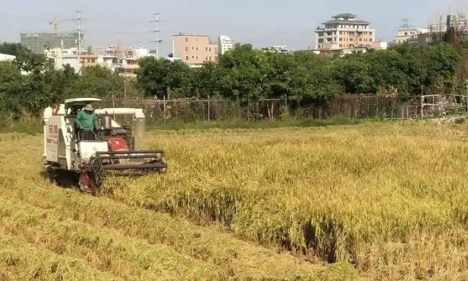 农业供应链金融_农业产业链金融服务_农业供应链金融发展现状
