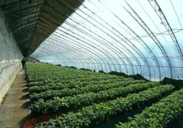 农业供应链金融发展现状_农业产业链金融服务_农业供应链金融