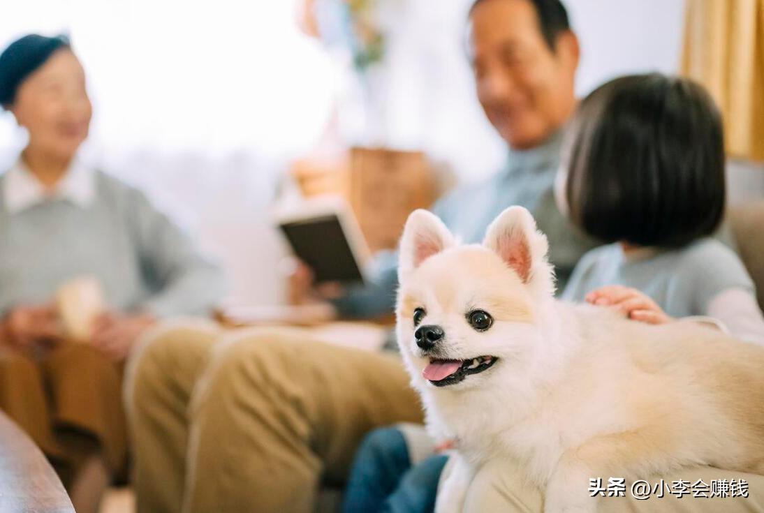 过去投资创业好开店项目_中年失业创业项目 _ 高利润创业项目推荐 