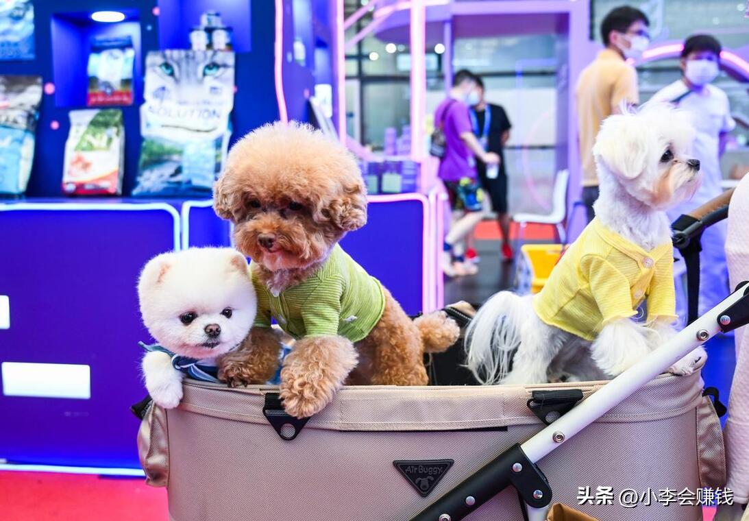  高利润创业项目推荐 _中年失业创业项目 _过去投资创业好开店项目