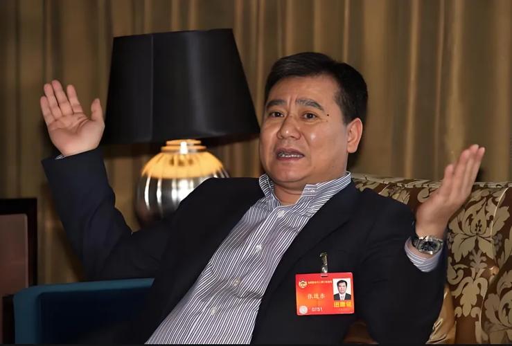 苏宁易购多元化失败分析_在京东和苏宁哪个好_苏宁电器发展历程