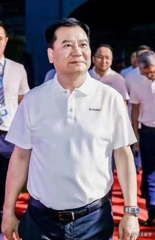 在京东和苏宁哪个好_苏宁易购多元化失败分析_苏宁电器发展历程