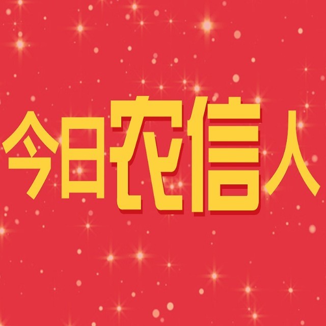 非法金融放贷法律分析_金融犯罪的典型案例_金融风控产品设计
