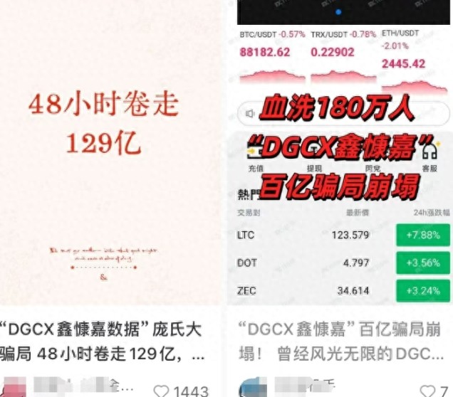 各路资本争抢稳定币牌照，非法平台却用其诈骗收割投资者