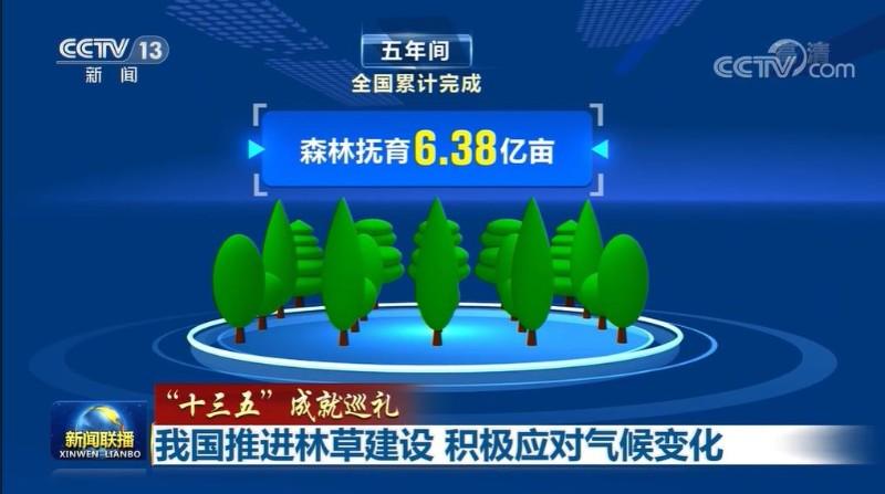 习近平生态文明思想_绿大地案例分析_两山理念实践案例