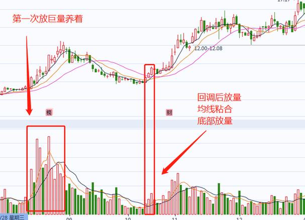 委差与价格走势_外盘比委差小_委比计算公式