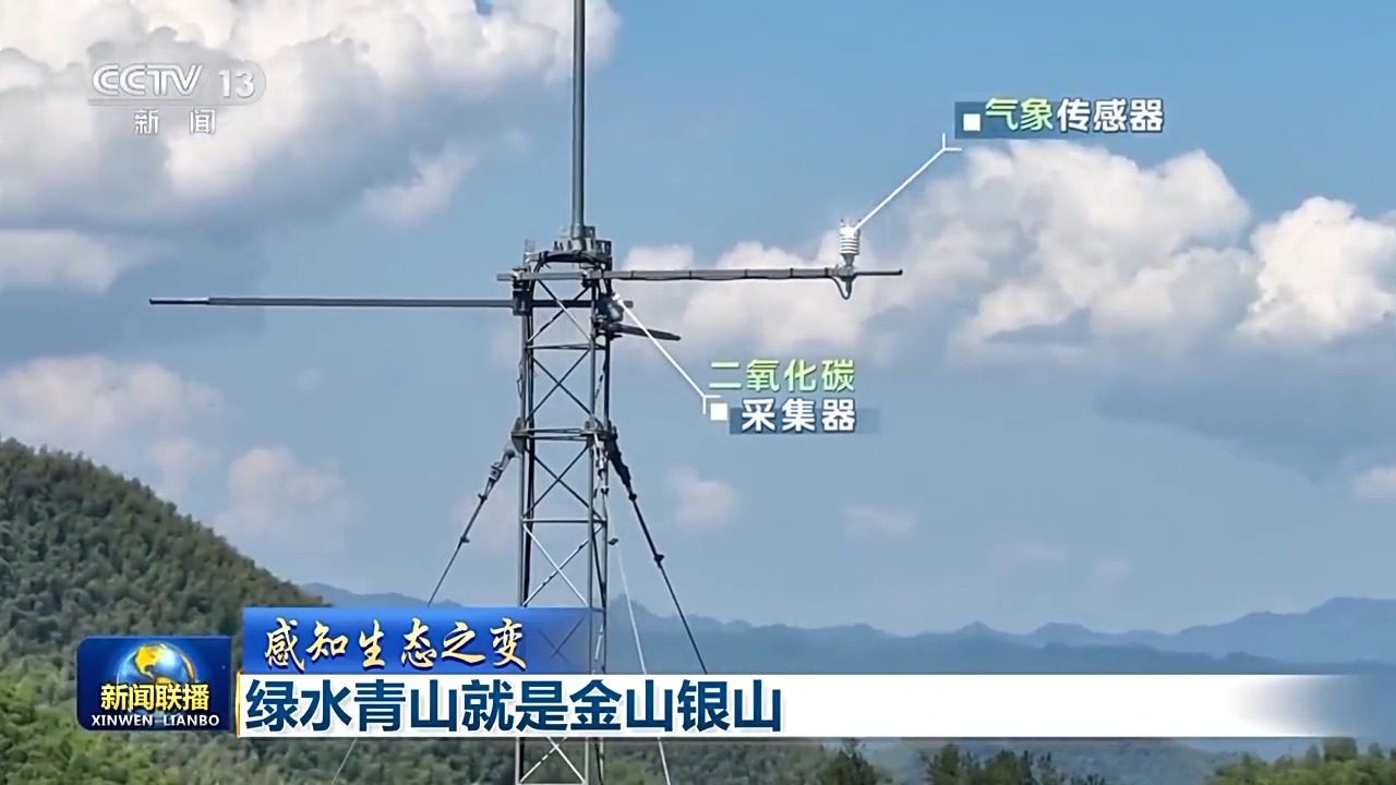 两山理念实践案例_绿大地案例分析_习近平生态文明思想