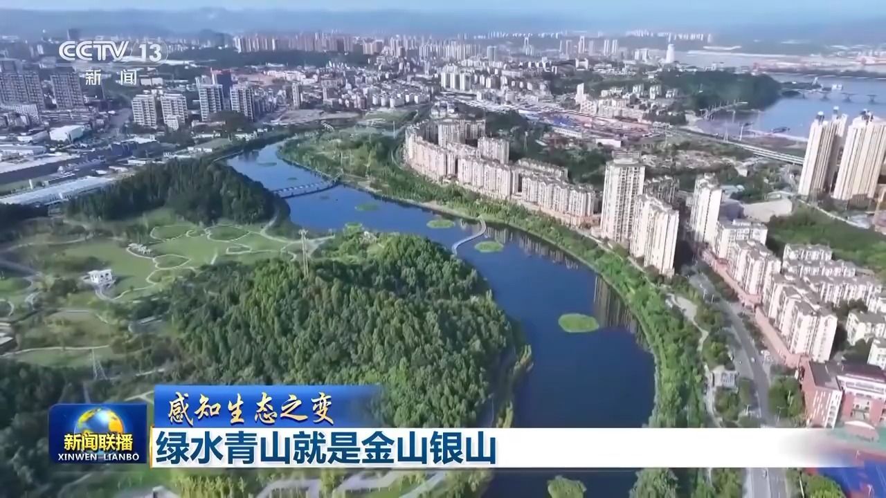 两山理念实践案例_绿大地案例分析_习近平生态文明思想