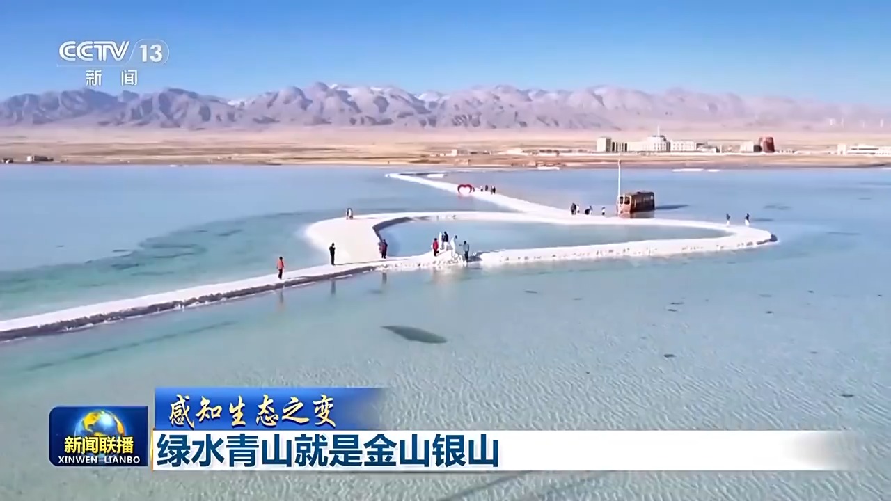 绿大地案例分析_习近平生态文明思想_两山理念实践案例