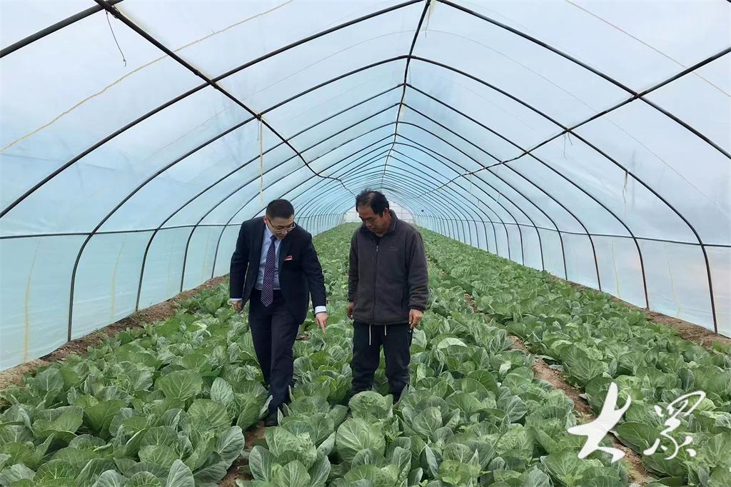 泰安市商业银行股份有限公司_山东城商行高质量发展_泰安银行服务地方经济