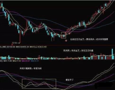 克服人性弱点投资_强势股操作技术精要_高位套牢者翻身技巧