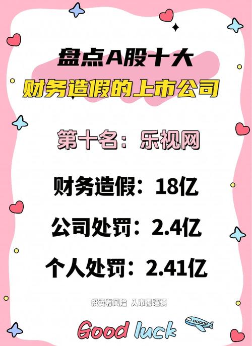 上市公司财务造假 注册会计师履职尽责 财务审计秩序规范_财务会计造假案例论文