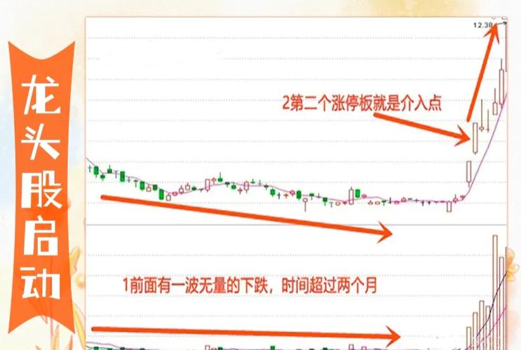 股票是靠什么上涨_看周线选龙头_周线龙头战法