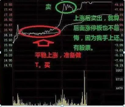 仓位管理_涨停了还会下跌吗股票可以卖_股票仓位管理策略