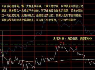 股市行情线中的黄线是什么_分时图选股技巧_分时图买卖原则