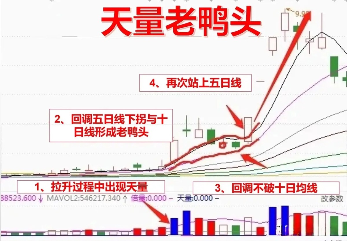 炒股十年才知道做强势股_十年炒股的高手_炒股十年终于稳定盈利