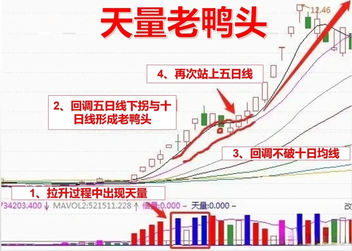 炒股十年终于稳定盈利_十年炒股的高手_炒股十年才知道做强势股