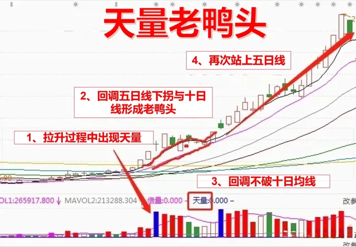 十年炒股的高手_炒股十年才知道做强势股_炒股十年终于稳定盈利