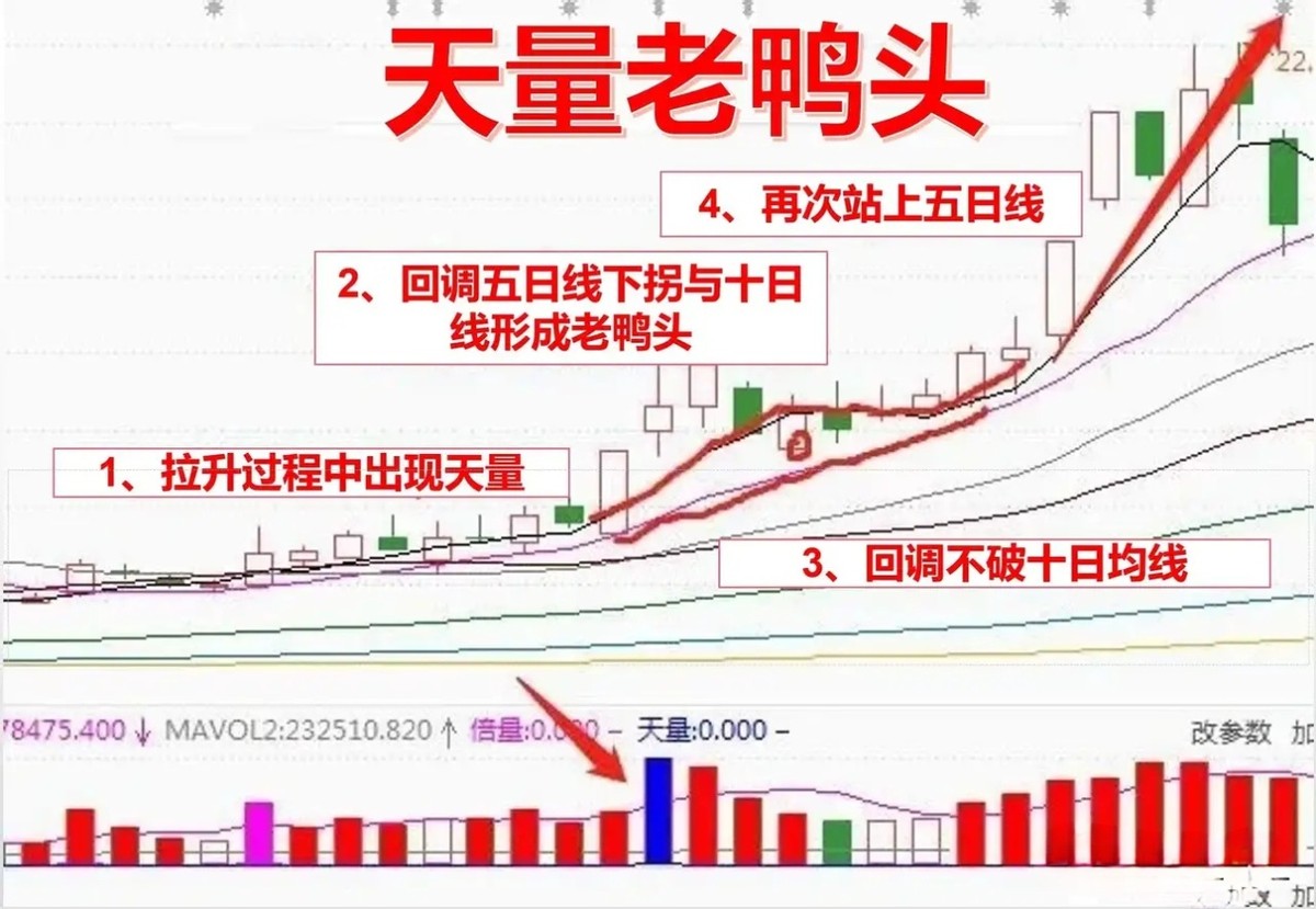 炒股十年才知道做强势股_十年炒股的高手_炒股十年终于稳定盈利