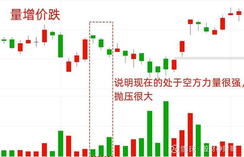 资金流向分析_天通股份有哪些概念_主力持仓分析