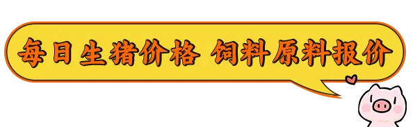 中国地方猪种：资源多样、作用重要，却面临哪些保护挑战？