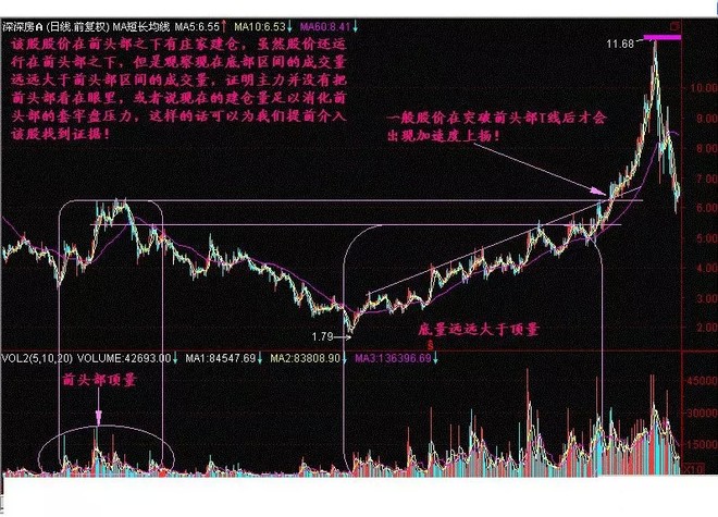 量价分析从入门到精通_交易模式选择_交易者步骤