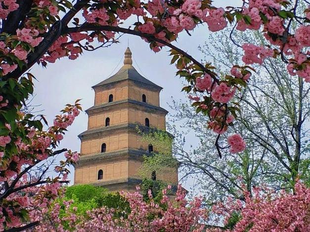 中港国际旅行社西安公司5A资质详解_港中旅(上海上海)国际旅行社_西安2026官方认证正规旅行社排名
