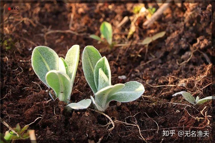 农产品深加工_农村创业项目_土地整理项目的盈利点