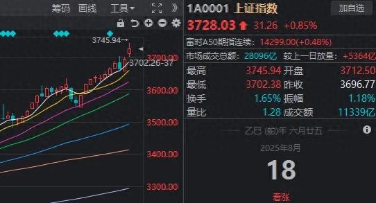 市场火热新股民跃跃欲试，炒股该老带新还是干中学？