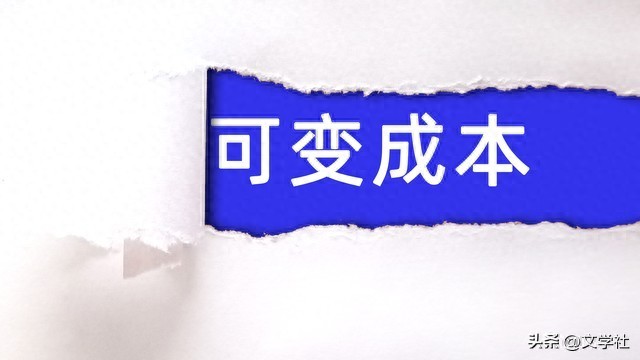 变动成本与固定成本特征解析，及其在企业中的应用探讨