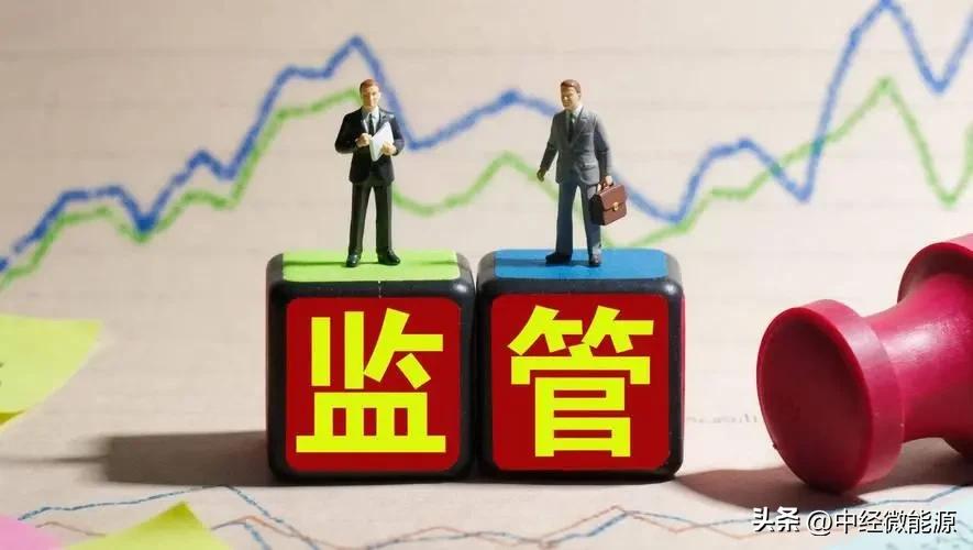 会计造假案例广东_ST岭南实控人资金占用_ST岭南行政处罚