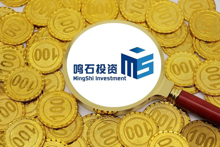 鸣石投资控股权纷争 袁宇李硕股权代持 私募基金实际控制人争议_私募股权投资实务与案例