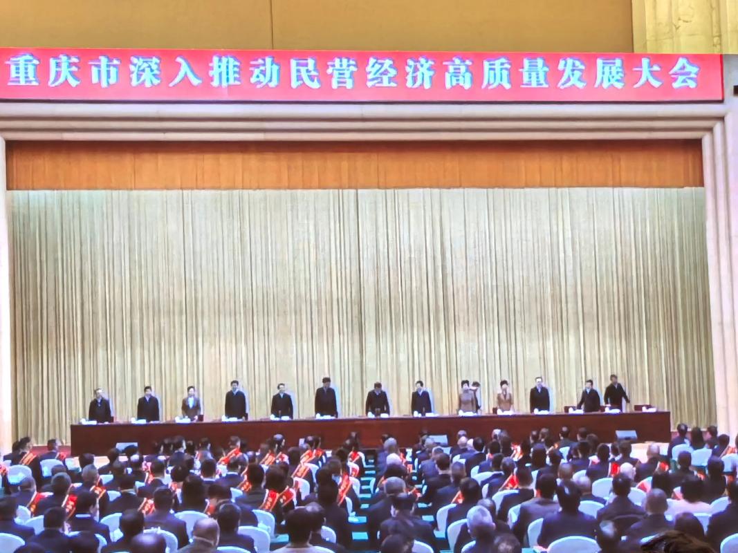 重庆民营经济贷款余额_金融支持民营经济发展_金融创新体系