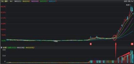 股票强弱度是什么意思_如何降低炒股风险_暴跌是重大机会