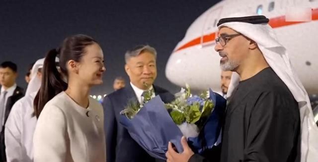 阿布扎比投资局中国战略布局_阿联酋对华资产重组_阿布扎比投资局+a股