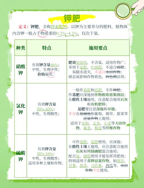 磷肥钾肥作用用法_蔬菜施肥技巧_钙镁磷肥的缺点