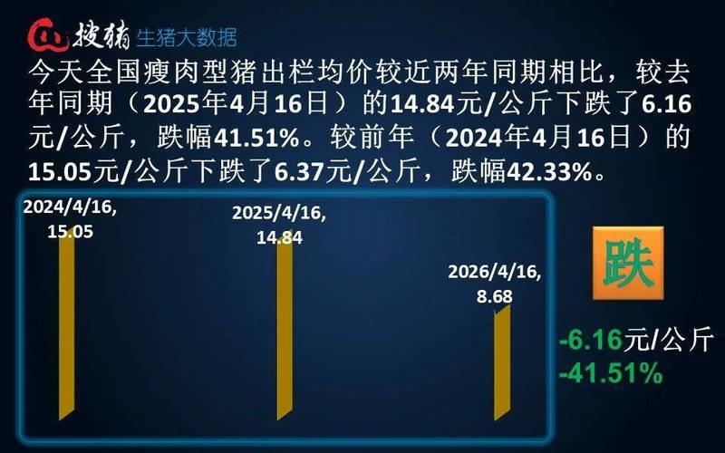 山东猪价触底回升_鸡蛋价格温和回升_山东今日大猪价格行情