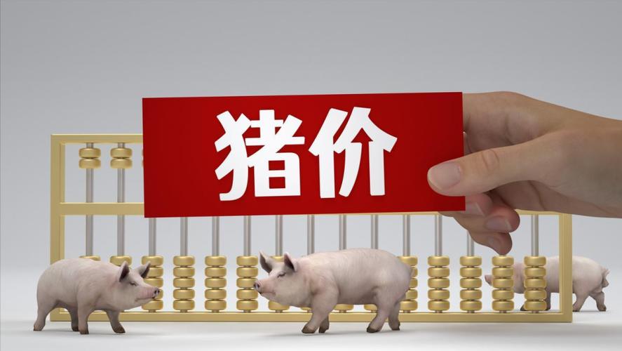 鸡蛋价格温和回升_山东今日大猪价格行情_山东猪价触底回升